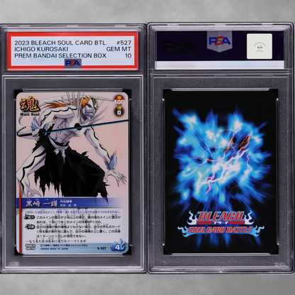 Signed Hollowfied Ichigo- Limited  Bundle